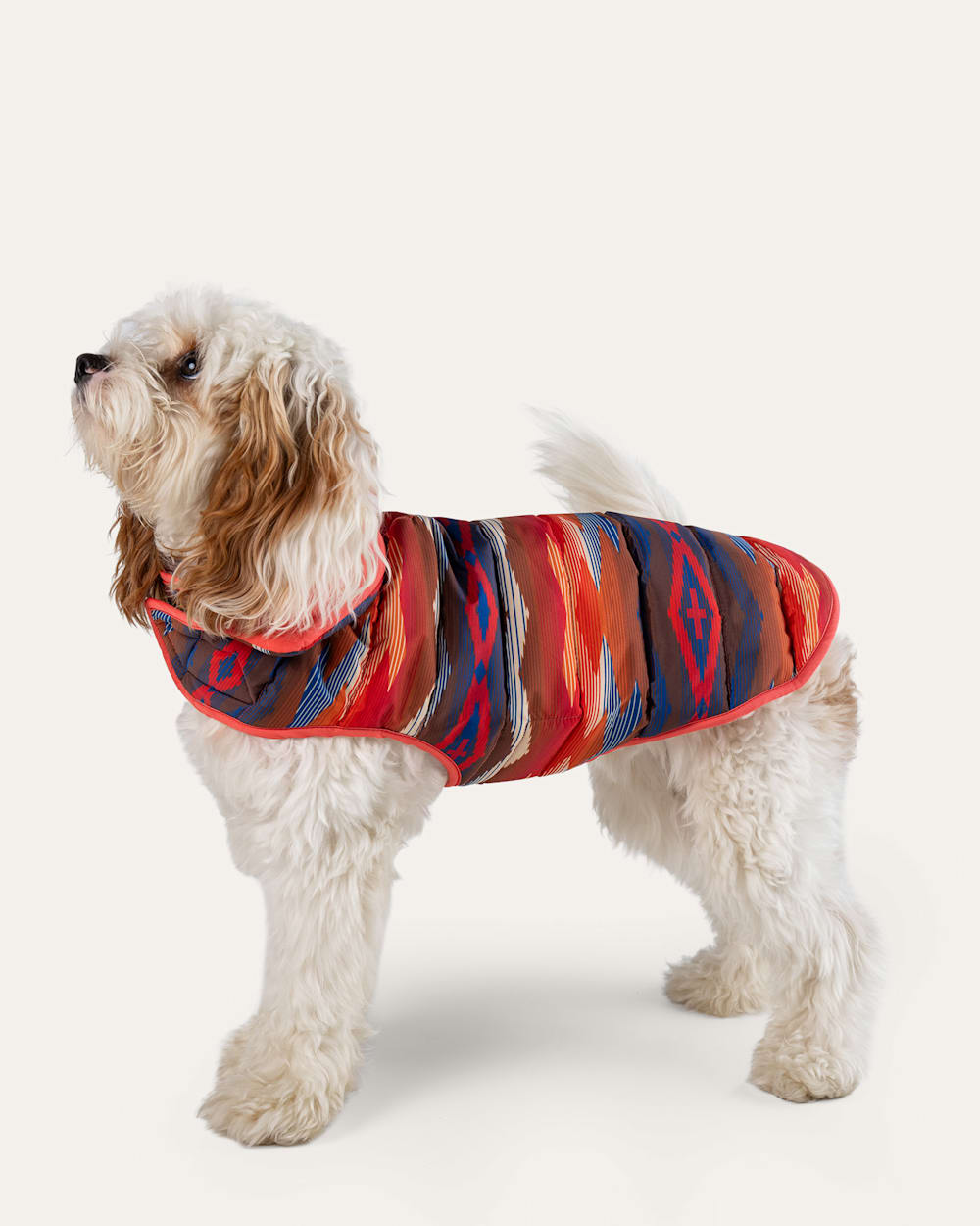 CROWN POINT PET PUFFER COAT IN ORANGE MULTI image number 1