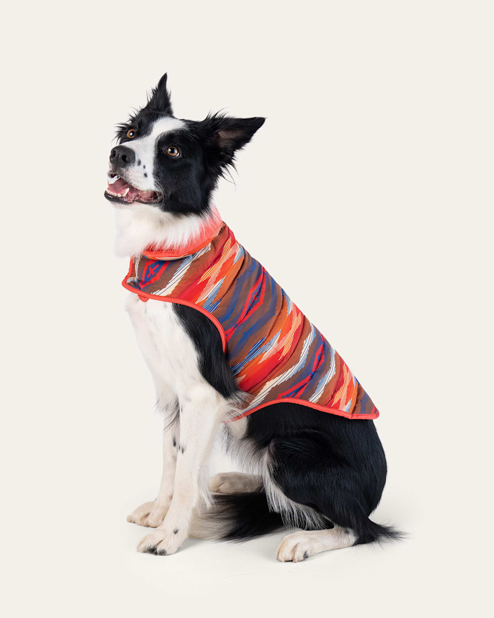 ALTERNATE VIEW OF CROWN POINT PET PUFFER COAT IN ORANGE MULTI image number 6