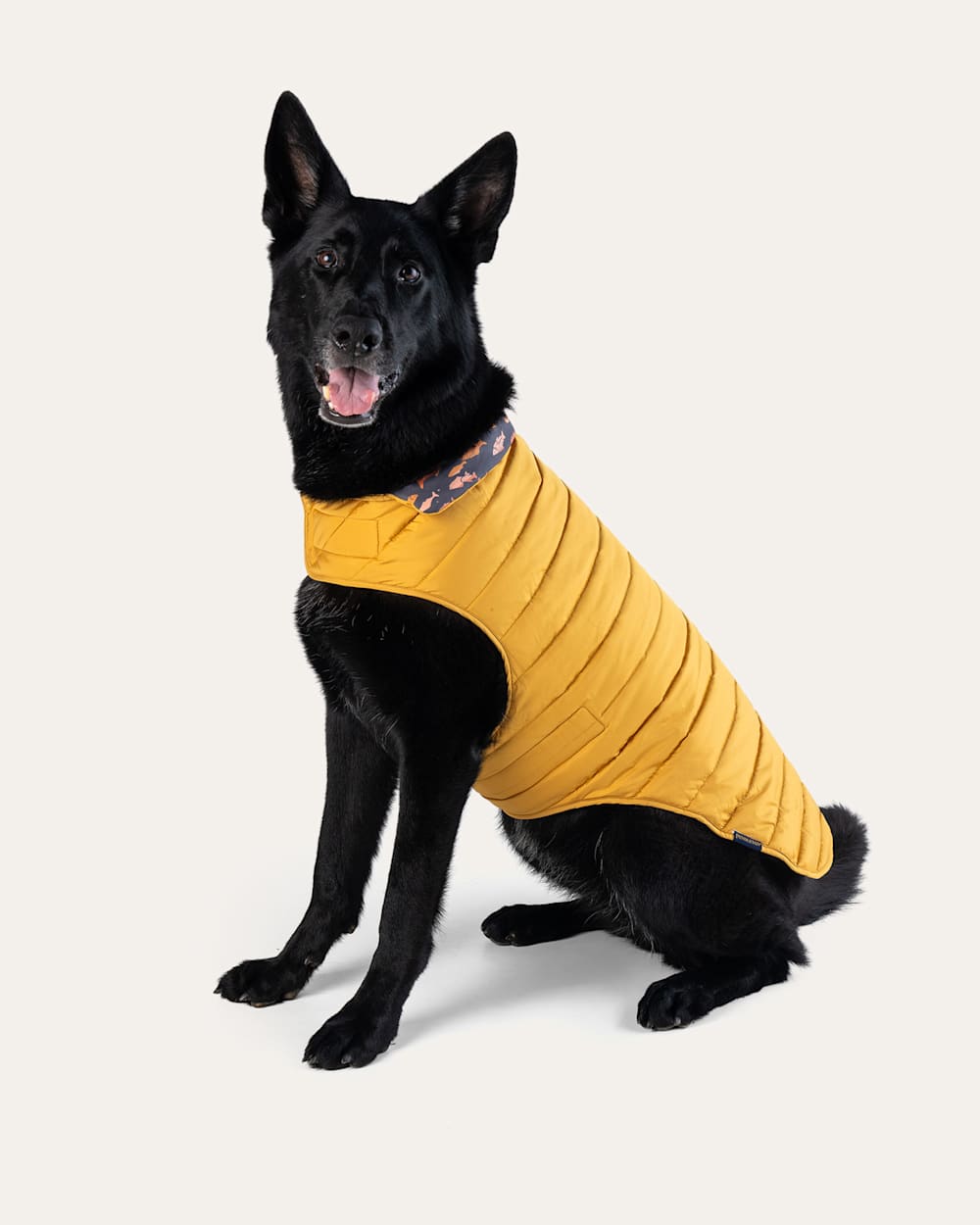ALTERNATE VIEW OF SALMON FALLS PET PUFFER COAT IN BLUE/GOLD MULTI image number 6