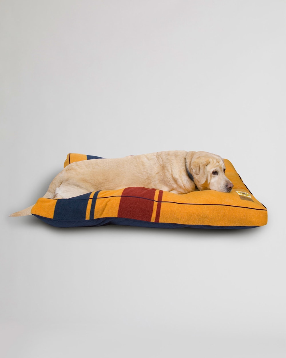 YELLOWSTONE NATIONAL PARK DOG BED IN YELLOWSTONE image number 1