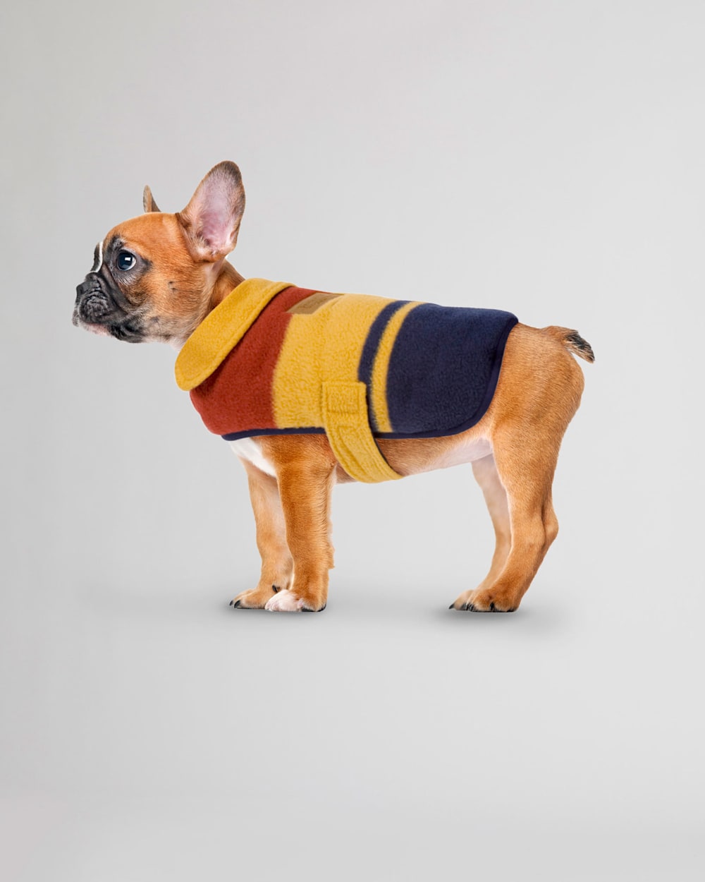 ALTERNATE VIEW OF YELLOWSTONE NATIONAL PARK DOG COAT IN YELLOWSTONE image number 1