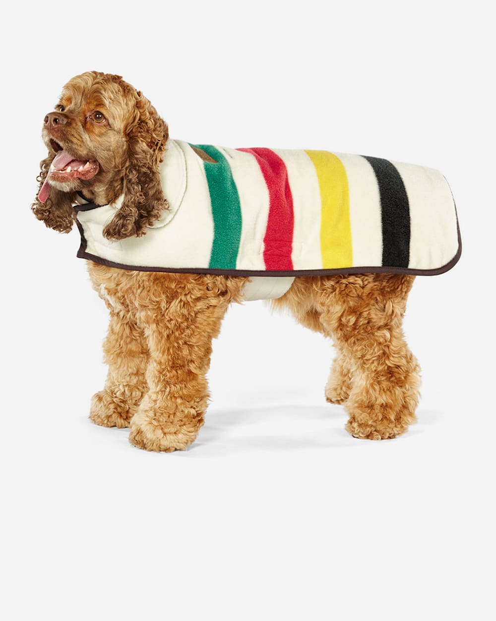 Pendleton dog coat clearance