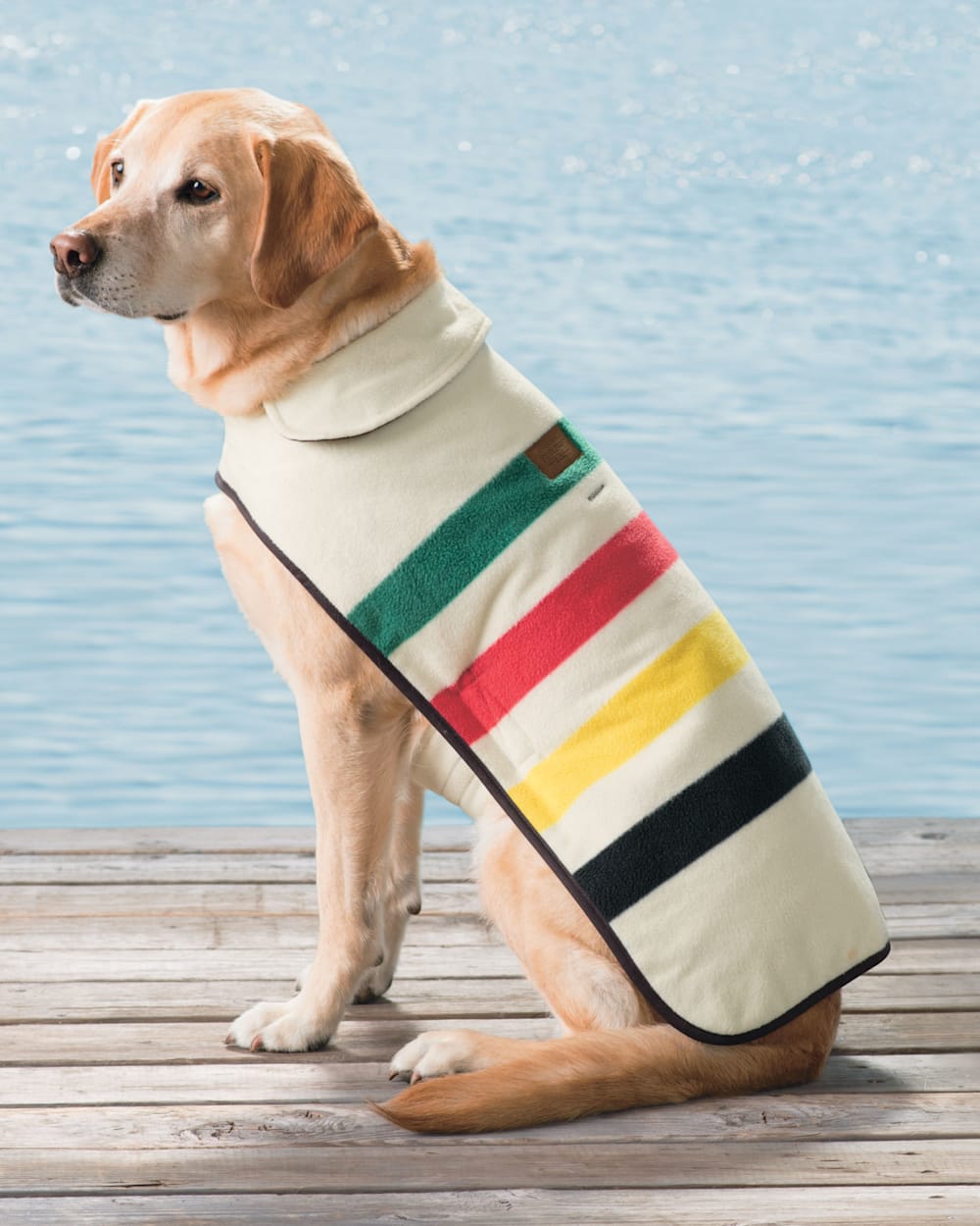 GLACIER NATIONAL PARK DOG COAT IN GLACIER PARK IN SIZE X-LARGE image number 4