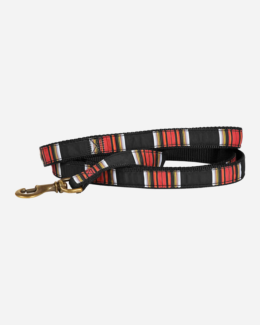 NATIONAL PARK HIKER DOG LEASH IN ACADIA image number 1