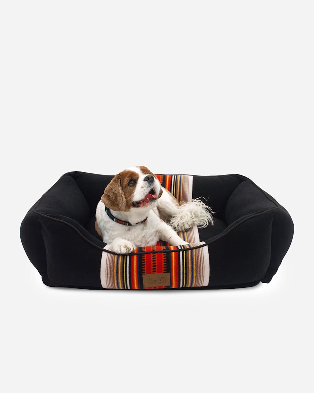 Pendleton dog bed xl shop