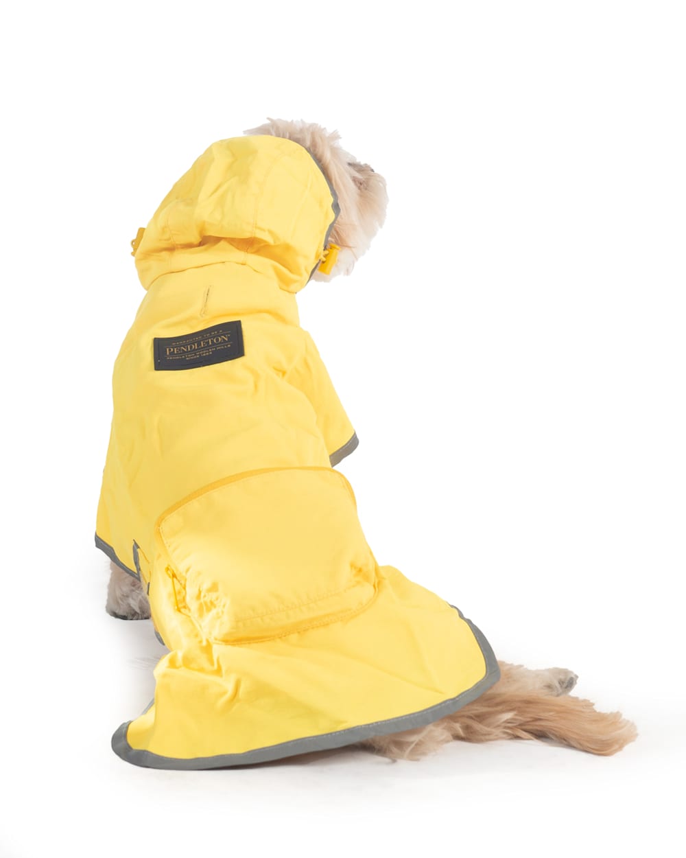 ALTERNATE VIEW OF NATIONAL PARK DOG RAINCOAT IN YELLOW GLACIER STRIPE image number 2