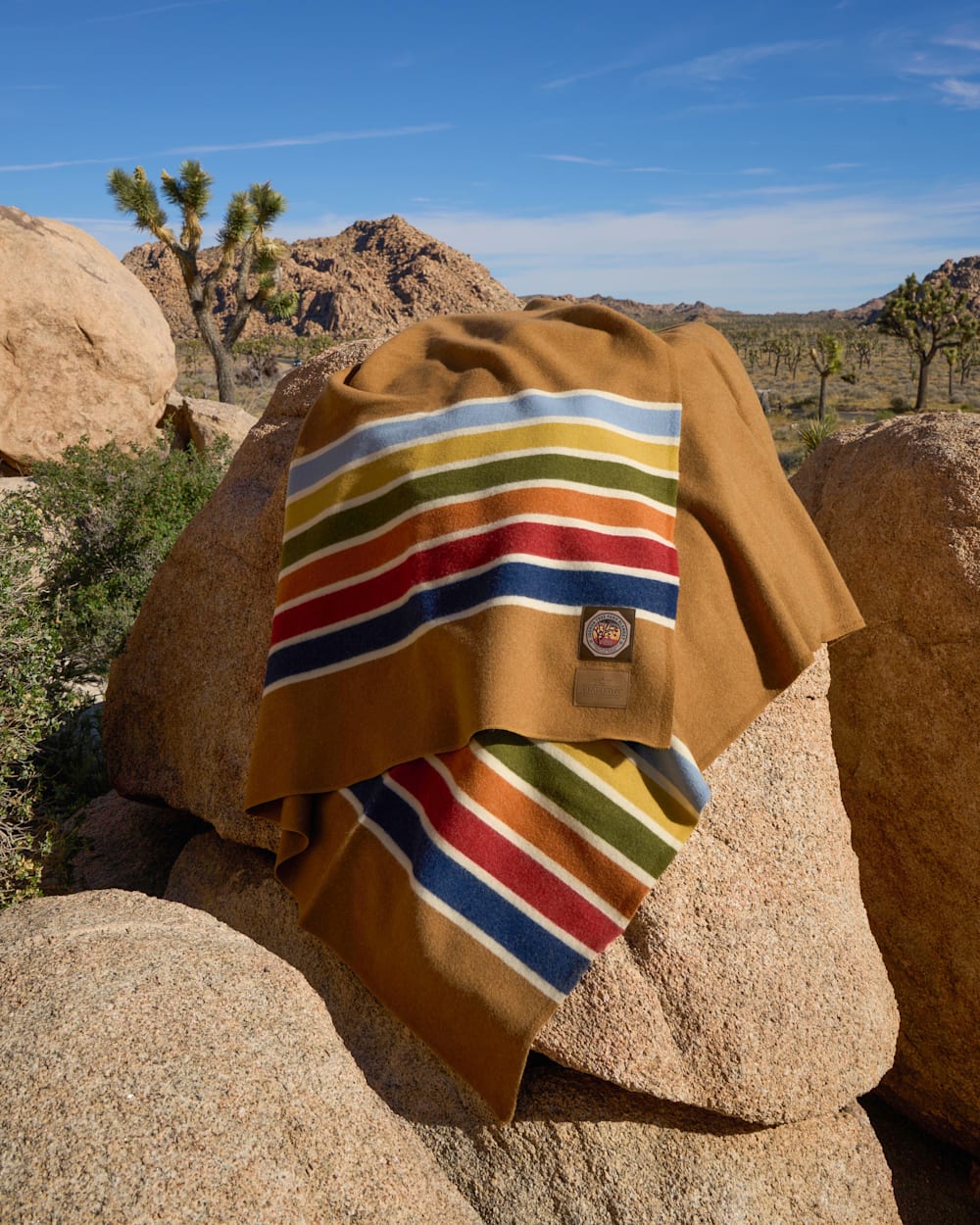 JOSHUA TREE NATIONAL PARK BLANKET IN CAMEL SHOWN IN JOSHUA TREE PARK image number 6