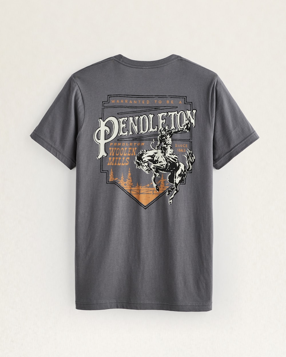 Shop Men's Rodeo Plaque Graphic Tee | Pendleton