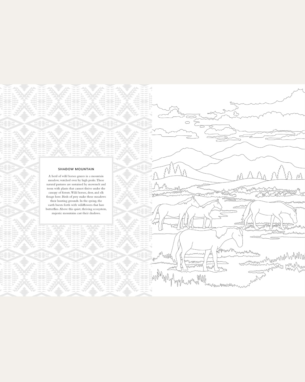 Shop The Pendleton Coloring Book With Blanket Designs | Pendleton