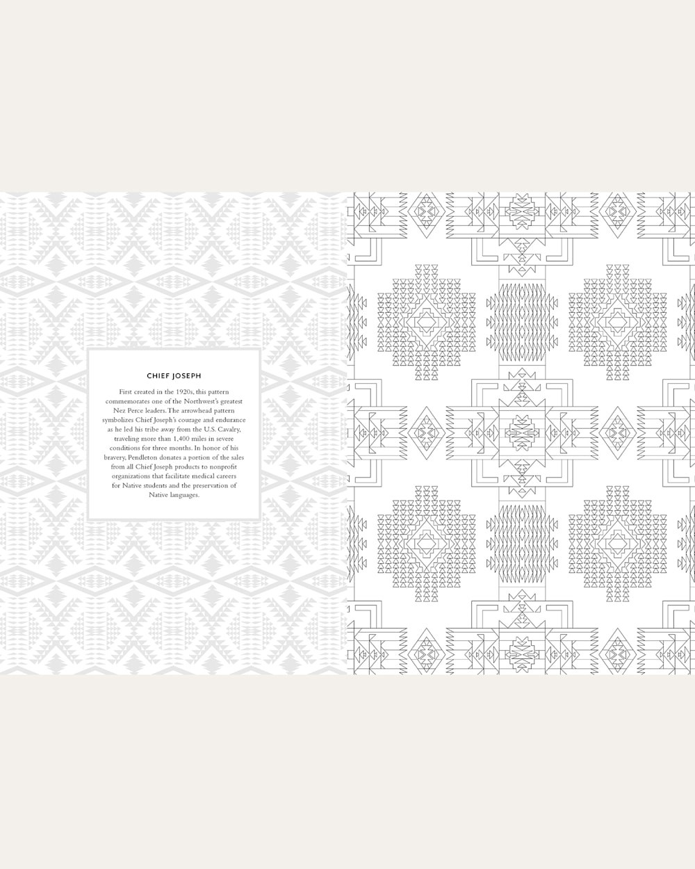 Shop The Pendleton Coloring Book With Blanket Designs | Pendleton