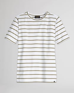 WOMEN'S DESCHUTES STRIPE TEE IN WHITE/DUSTY GREEN image number 1