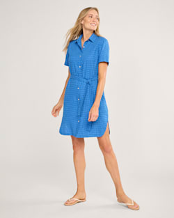 ALTERNATE VIEW OF WOMEN'S CHARLOTTE LINEN SHIRT DRESS IN BLUE CHECK image number 5