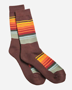 NATIONAL PARK STRIPE CREW SOCKS IN GREAT SMOKEY MOUNTAINS image number 1