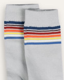 ALTERNATE VIEW OF NATIONAL PARK STRIPE CREW SOCKS IN YOSEMITE LIGHT GREY image number 2