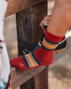 ALTERNATE VIEW OF NATIONAL PARK STRIPE CREW SOCKS IN ZION image number 2