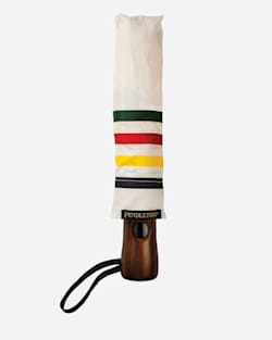 ADDITIONAL VIEW OF GLACIER PARK UMBRELLA IN GLACIER STRIPE image number 2