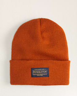 PENDLETON BEANIE IN UMBER image number 1