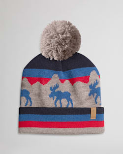 RETRO BEANIE IN MOOSE image number 1