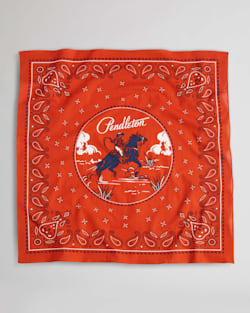 COWBOY BANDANA IN RED image number 1