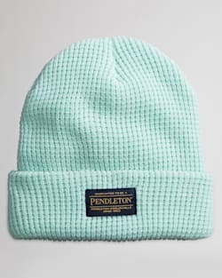 WAFFLE KNIT BEANIE IN MINT image number 1
