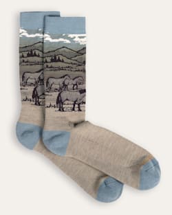 SHADOW MOUNTAIN MERINO CREW SOCKS IN TAN image number 1