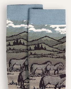 ALTERNATE VIEW OF SHADOW MOUNTAIN MERINO CREW SOCKS IN TAN image number 2