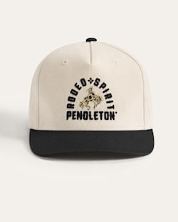 ALTERNATE VIEW OF RODEO SPIRIT HAT IN IVORY/GREY image number 3