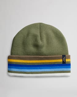 NATIONAL PARK STRIPE BEANIE IN ROCKY MOUNTAIN GREEN image number 1