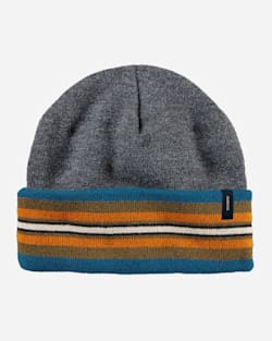 NATIONAL PARK STRIPE BEANIE IN OLYMPIC GREY image number 1