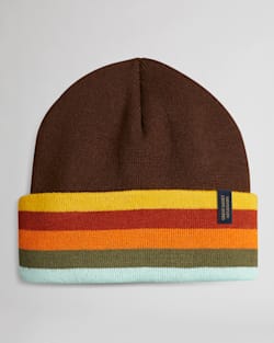 NATIONAL PARK STRIPE BEANIE IN GREAT SMOKY MOUNTAINS BROWN image number 1