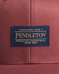 ALTERNATE VIEW OF LOGO FLAT BRIM HAT IN MAROON image number 3