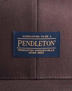 ALTERNATE VIEW OF LOGO FLAT BRIM HAT IN BROWN image number 3