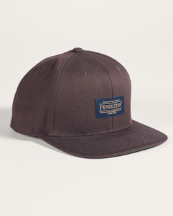 LOGO FLAT BRIM HAT IN BROWN image number 1