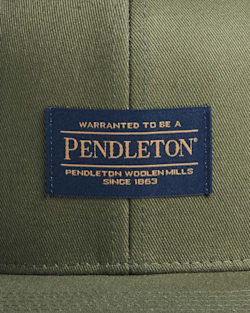 ALTERNATE VIEW OF LOGO FLAT BRIM HAT IN ARMY GREEN image number 3