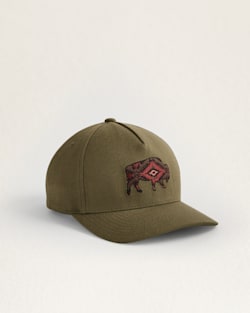 BUFFALO EMBROIDERED HAT IN GREY/RED image number 1