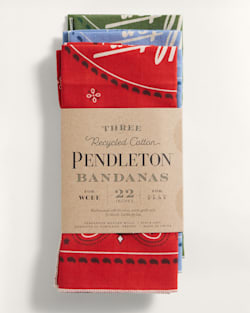 COWBOY 3-PACK BANDANA IN RED/BLUE/GREEN image number 1