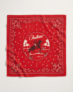 ALTERNATE VIEW OF COWBOY 3-PACK BANDANA IN RED/BLUE/GREEN image number 2