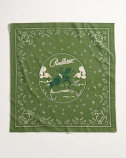 ALTERNATE VIEW OF COWBOY 3-PACK BANDANA IN RED/BLUE/GREEN image number 4