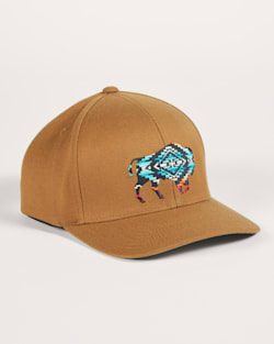 BISON EMBROIDERED HAT IN TAUPE image number 1