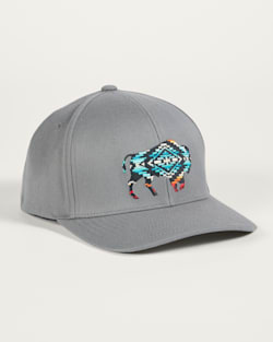 BISON EMBROIDERED HAT IN CHARCOAL image number 1