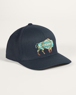 BISON EMBROIDERED HAT IN BLACK image number 1