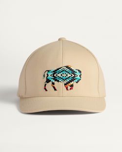 ALTERNATE VIEW OF BISON EMBROIDERED HAT IN CREAM image number 3