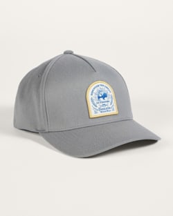 BISON GRAPHIC HAT IN GREY image number 1