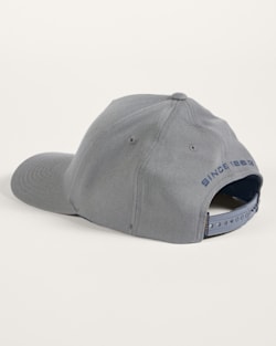 ALTERNATE VIEW OF BISON GRAPHIC HAT IN GREY image number 2