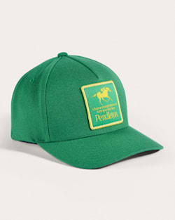 VINTAGE LOGO GRAPHIC HAT IN GREEN image number 1