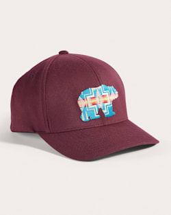 EMBROIDERED HAT IN MAROON BEAR image number 1