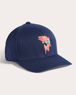 EMBROIDERED HAT IN NAVY SALMON image number 1