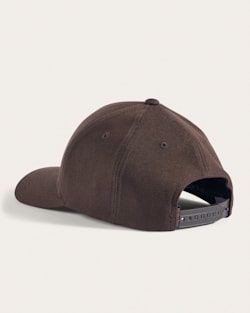 ALTERNATE VIEW OF EMBROIDERED HAT IN DARK BROWN BISON image number 2