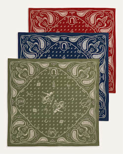 ALTERNATE VIEW OF WESTERN 3-PACK BANDANA IN MULTI image number 5
