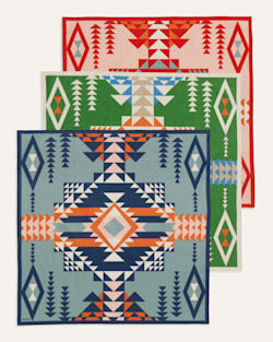 ALTERNATE VIEW OF PILOT ROCK 3-PACK BANDANA IN MULTI image number 5